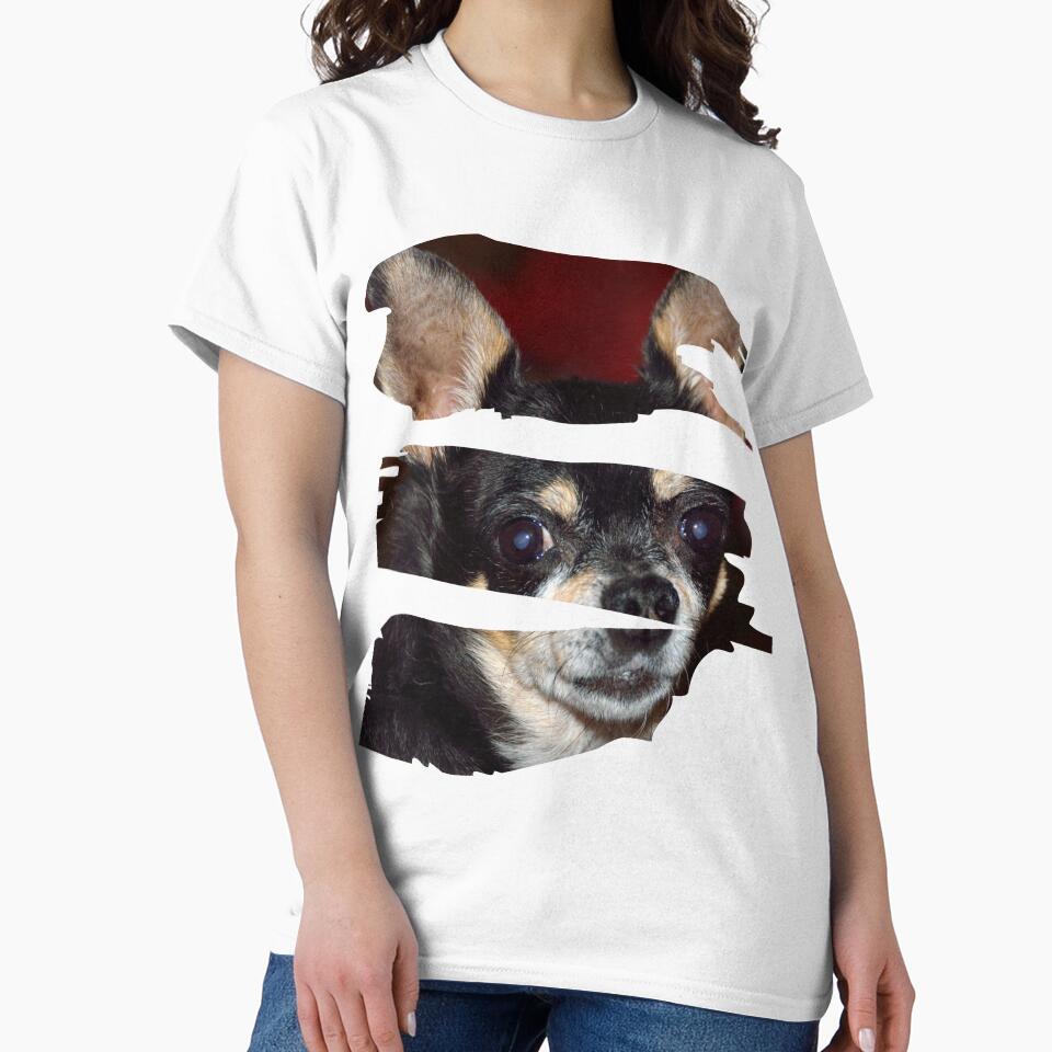chihuahua-dog by Renovapring ⭐⭐⭐⭐⭐
