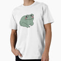 frog flop by sanfrankiecisco